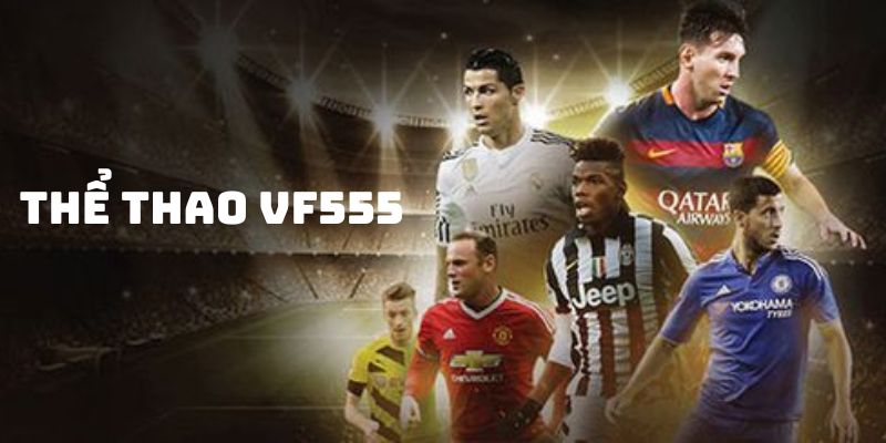 Giới thiệu nền tảng cá độ thể thao VF555