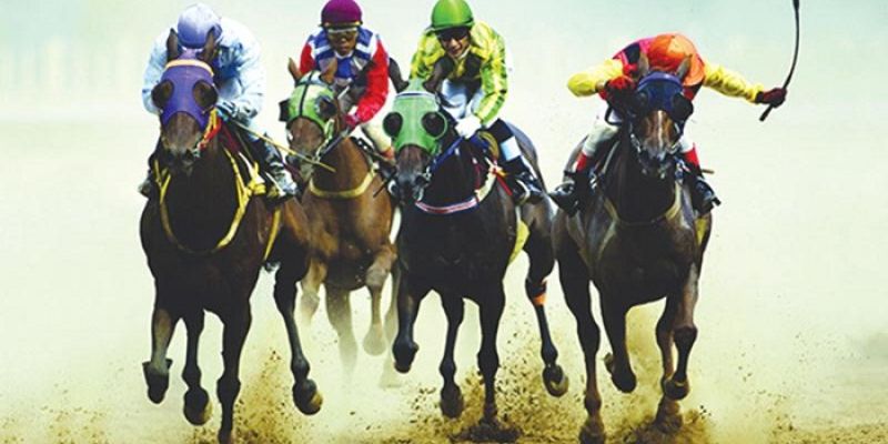 Đua Ngựa Vf555 - Hướng Dẫn Chơi Với Tỷ Lệ Thắng Cao 2 Luật tham gia cá cược đua ngựa Vf555 chi tiết