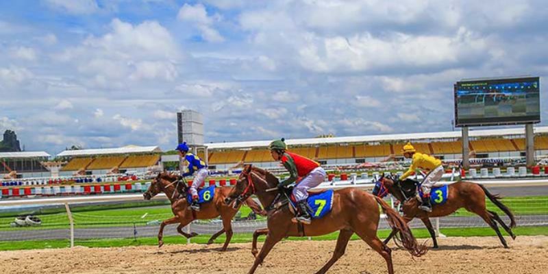 Đua Ngựa Vf555 - Hướng Dẫn Chơi Với Tỷ Lệ Thắng Cao 3 Kinh nghiệm để chinh phục cá cược đua ngựa