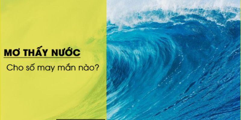 Nằm Mơ Thấy Nước Là Điềm Lành Hay Dữ? Ý Nghĩa 1 Số Giấc Mơ 3 Nằm mơ thấy nước đánh con gì