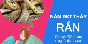 mơ thấy rắn