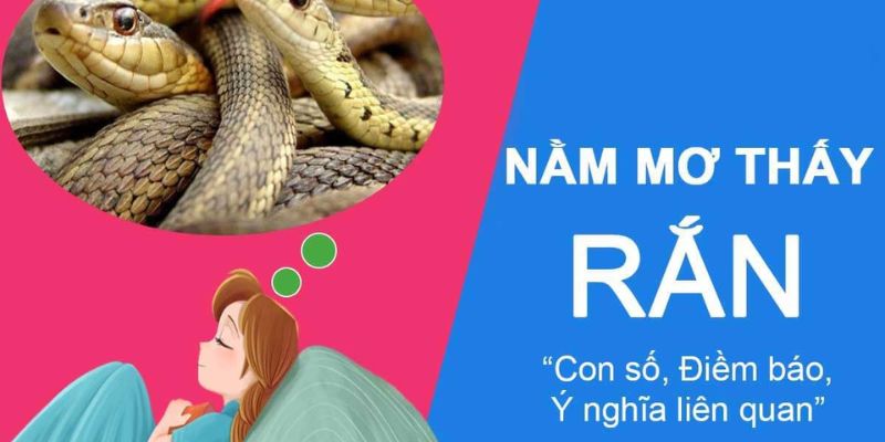 Mơ Thấy Rắn | Điểm Báo Lành Hay Dữ | Tốt Hay Xấu Năm 2024 2 Ý nghĩa khi nằm chiêm bao thấy rắn