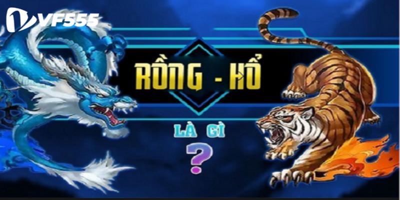 Chiến thuật chơi cá cược cho tân thủ